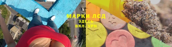 мяу мяу мука Аркадак