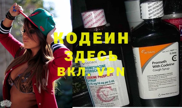 гашик Арсеньев