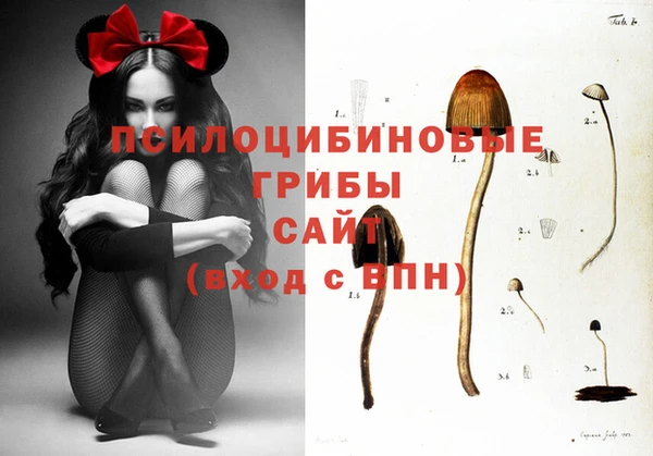 мяу мяу мука Аркадак