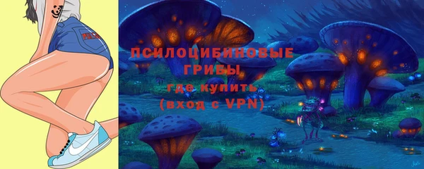 не бодяженный Армянск